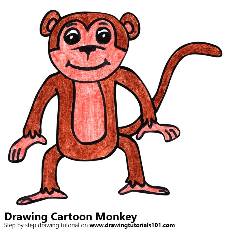 800x800 Learn How To Draw A Cartoon Monkey (Cartoon Animals) Step By Step