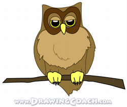250x211 How To Draw A Cartoon Owl Drawing Lesson