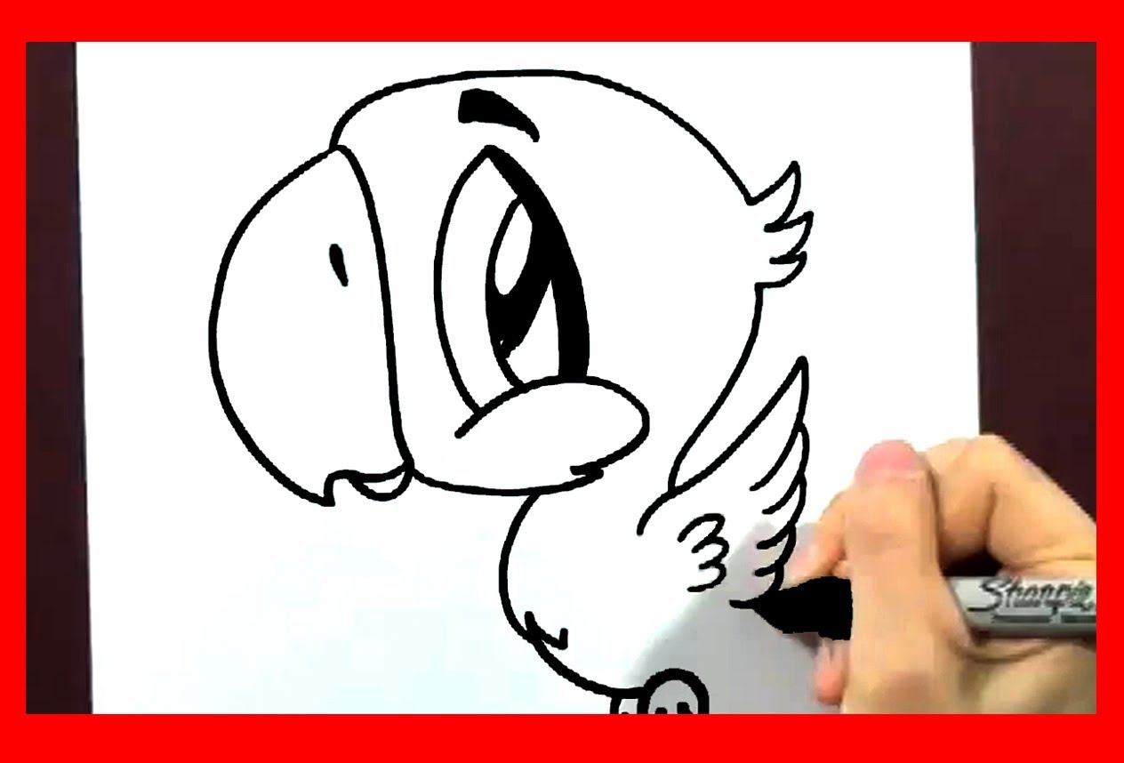 1264x858 How To Draw A Cartoon Parrot