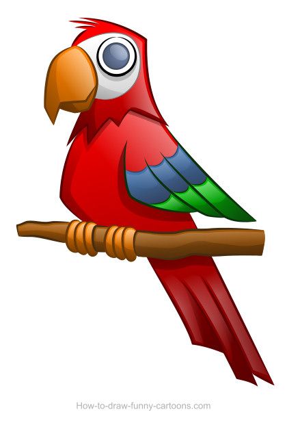 420x621 Parrot Drawing (Sketching + Vector) Reflection, Cartoon And Drawings