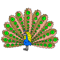 250x250 Cartoon Peacock Step By Step Drawing Lesson