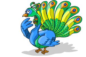 300x200 How To Draw A Cartoon Peacock