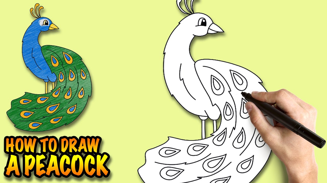 1280x720 How To Draw A Peacock
