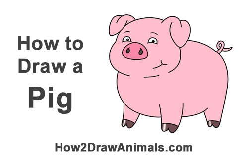 500x315 How To Draw A Pig (Cartoon)