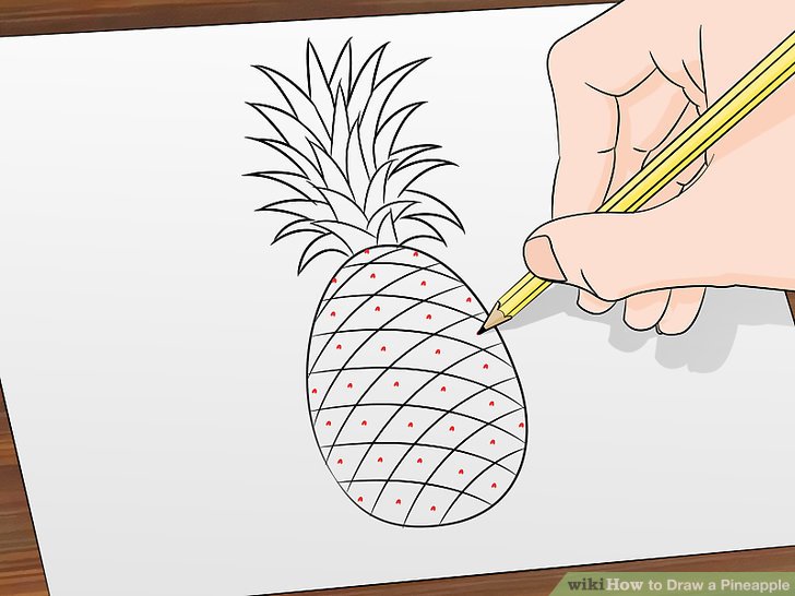 728x546 How To Draw A Pineapple 9 Steps (With Pictures)