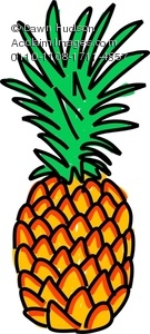 135x300 Whimsical Drawing Of A Pineapple Clipart Image