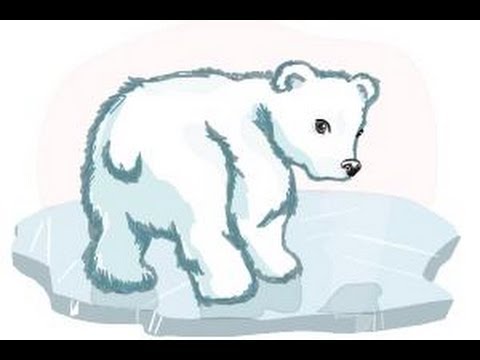 480x360 How To Draw A Baby Polar Bear