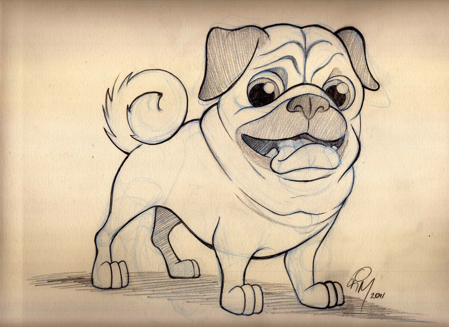 900x655 Pug Cartoon Sketch By Timmcfarlin