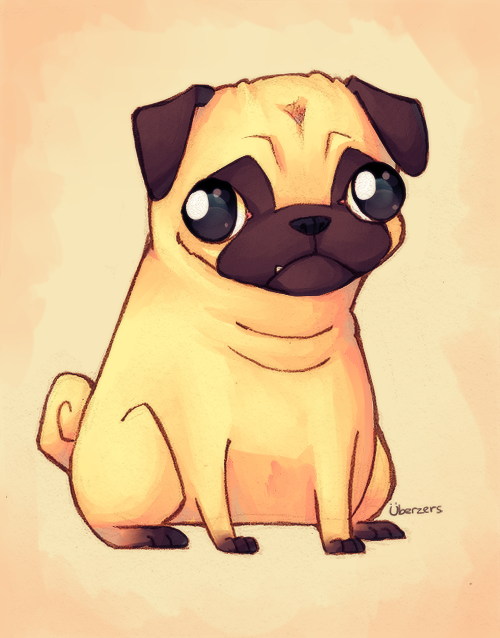 500x638 Pug By Pugs Pugs .pugs