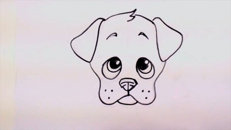800x450 Drawing A Cute Cartoon Puppy Face