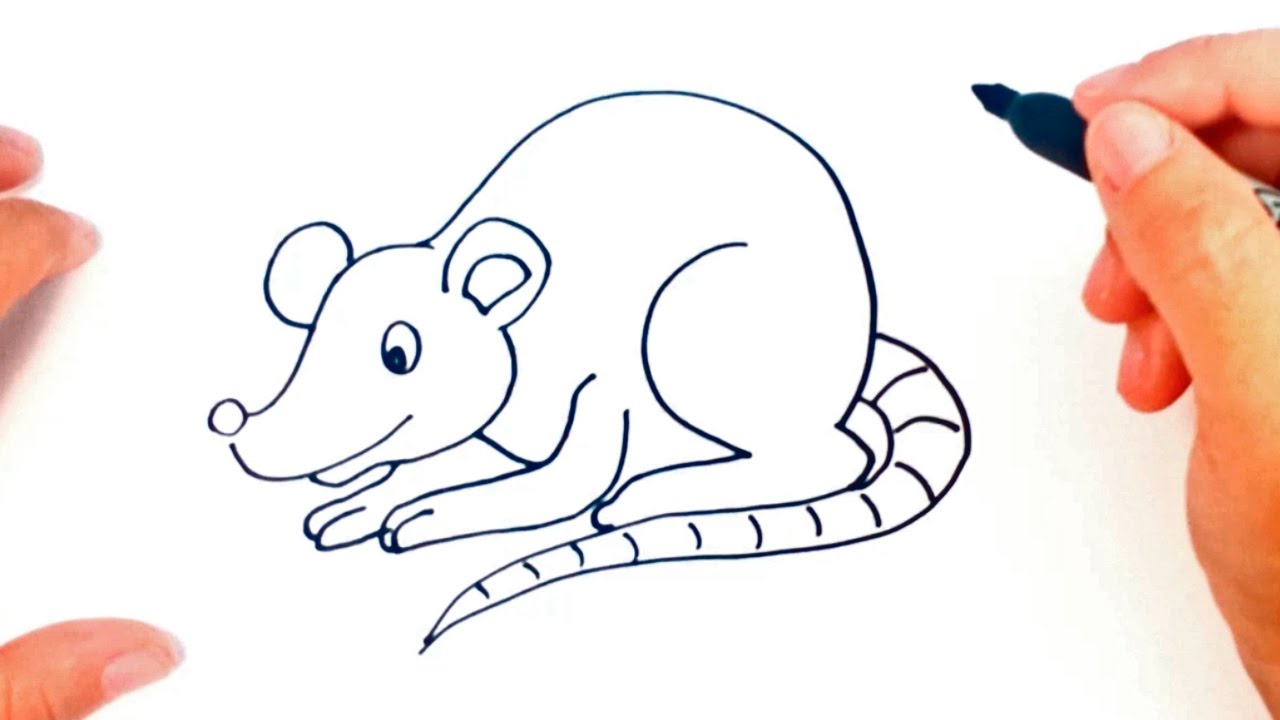 1280x720 How To Draw A Rat For Kids Rat Drawing Lesson Step By Step