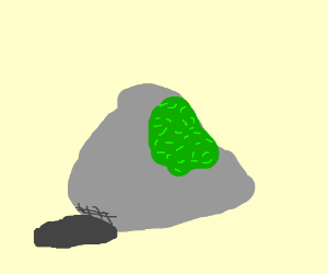 300x250 Moss (On A Rock)