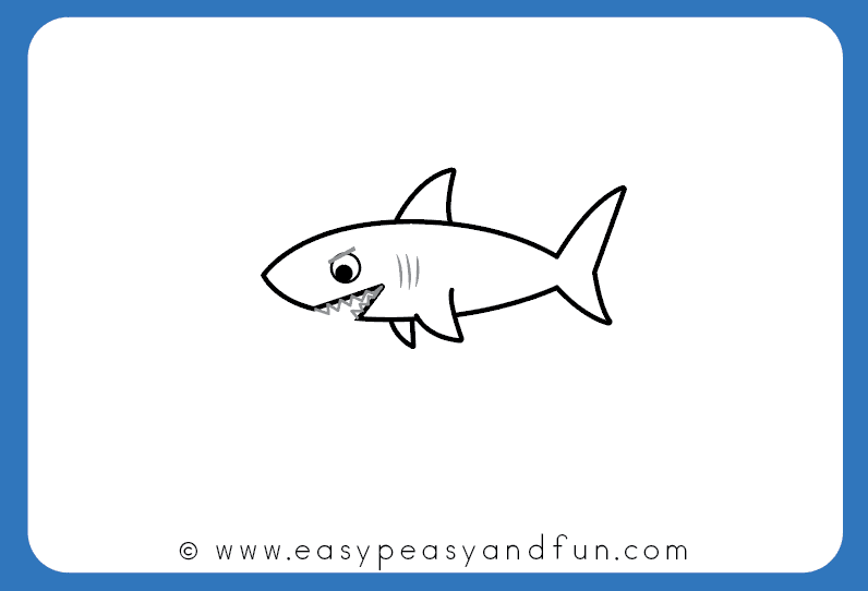 796x542 How To Draw A Shark