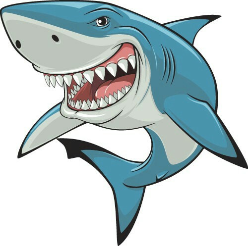500x497 Cartoon Shark Drawing Reference Shark, Cartoon