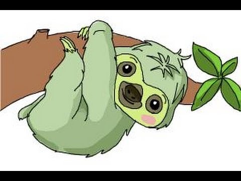 480x360 How To Draw A Sloth