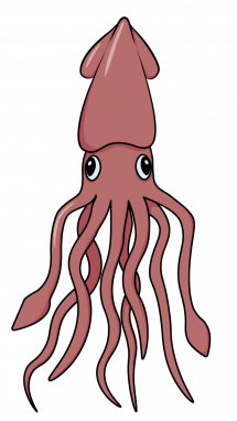 215x382 How To Draw A Squid, Sea Animals, Water Animals, Easy Step By Step