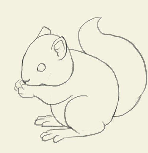 500x518 How To Draw Squirrel
