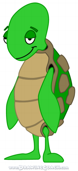 250x547 How To Draw A Cartoon Turtle