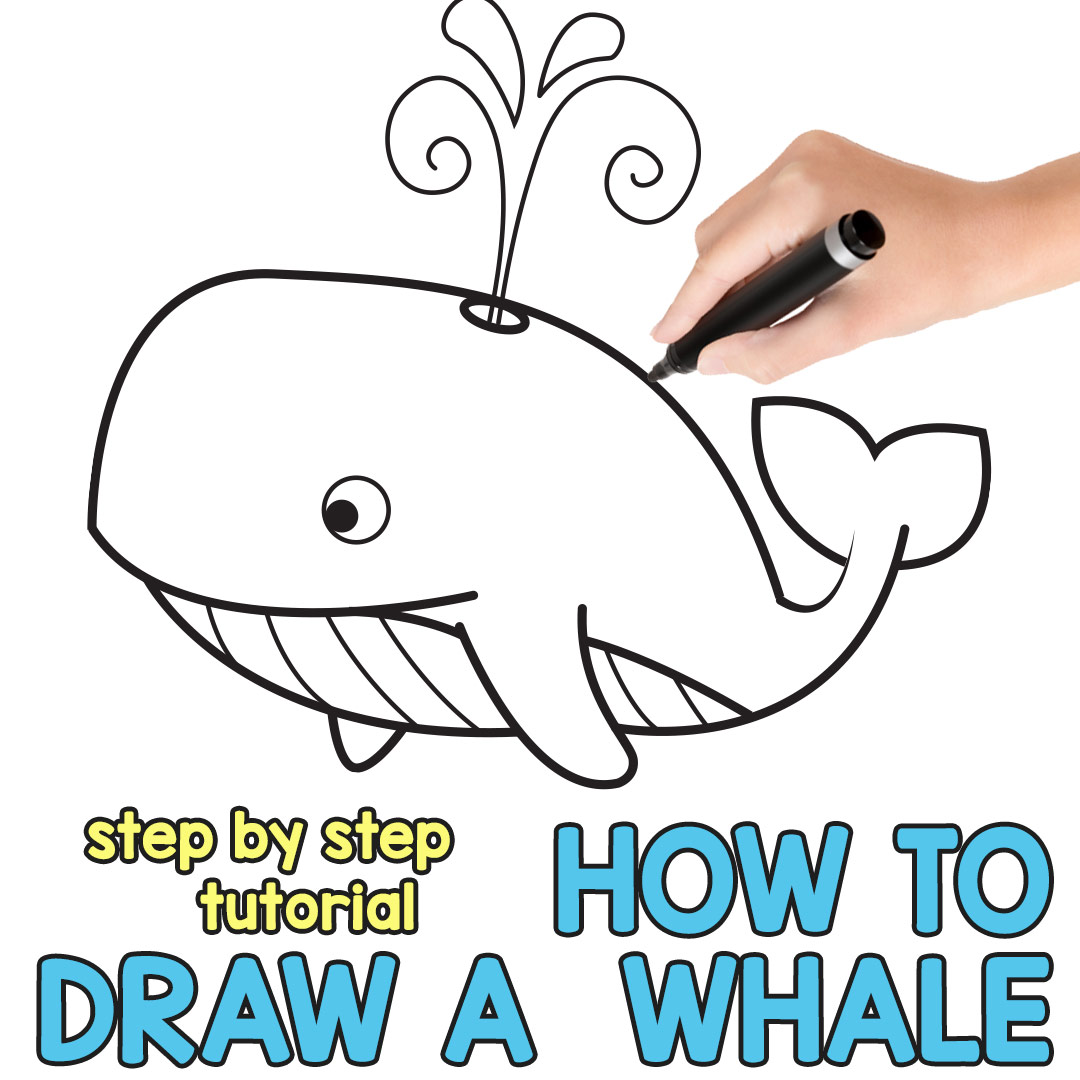 1080x1080 How To Draw A Whale Step By Step (Cartoon Style)