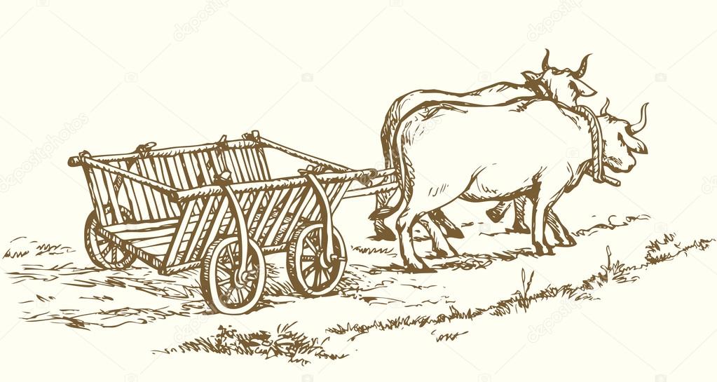 1023x545 Empty Cart Drawn By Oxen. Vector Drawing Stock Vector Marinka