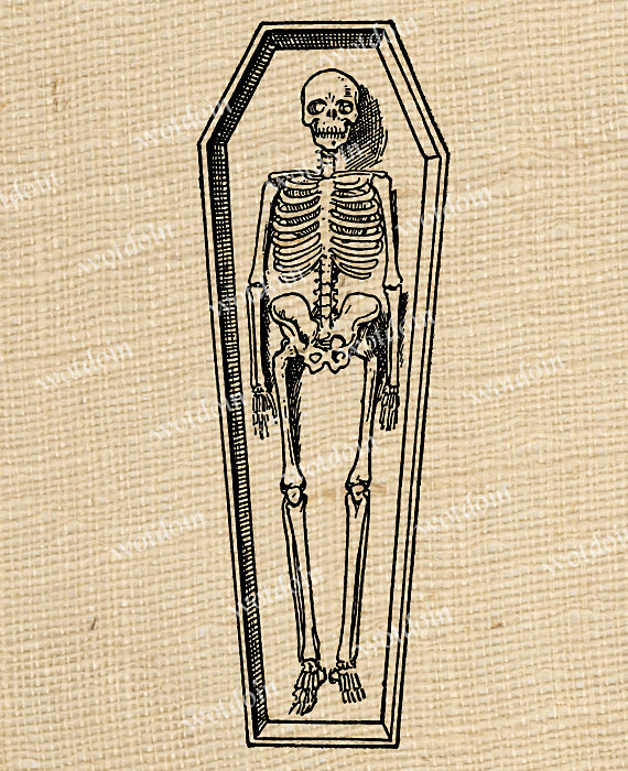 570x700 Skeleton Bones Coffin Anatomy Corpse Dead Guy Casket Halloween