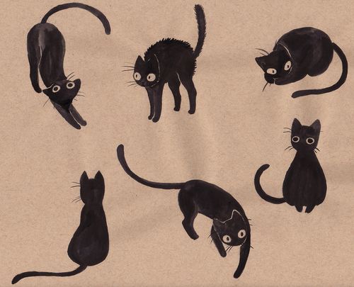 500x405 Image Result For Vintage Cat Kitten Drawing Lucky Black Cats