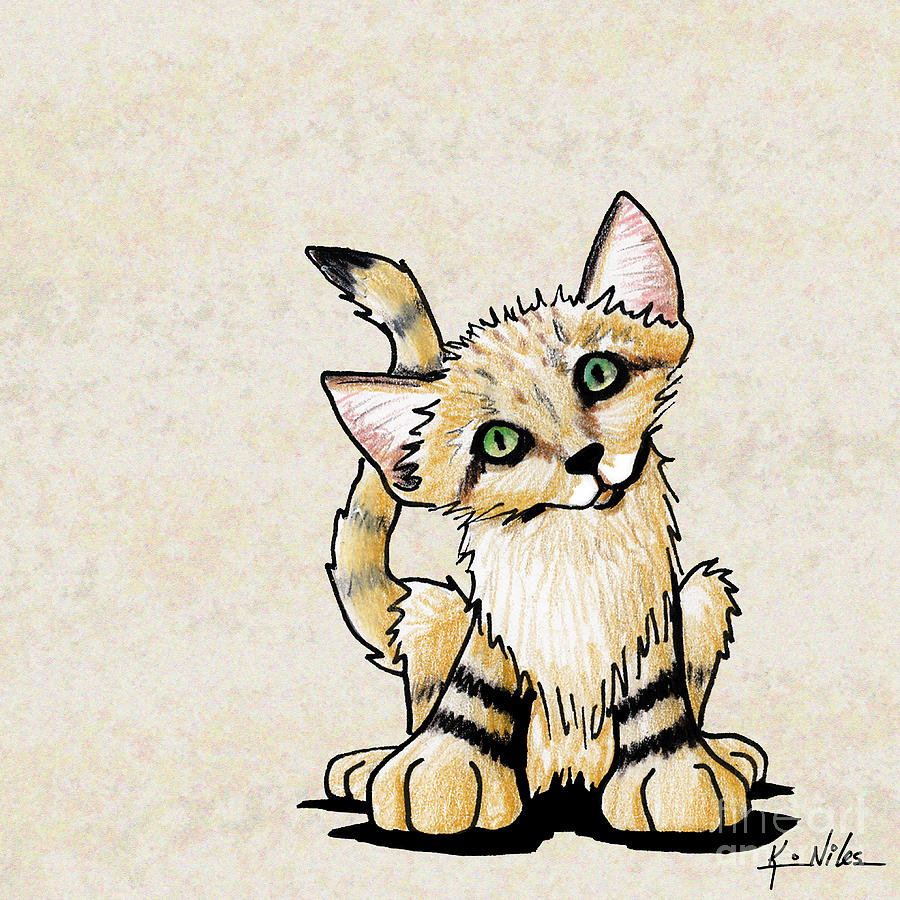 900x900 Sand Cat Kitten Drawing By Kim Niles