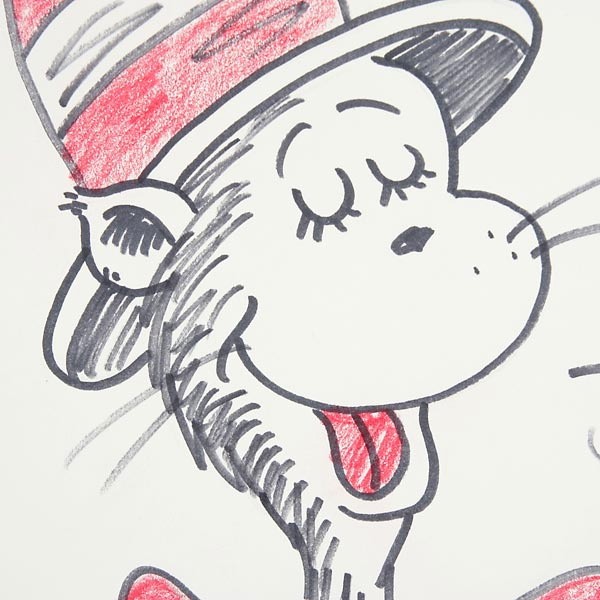 600x600 Cat In The Hat Drawings