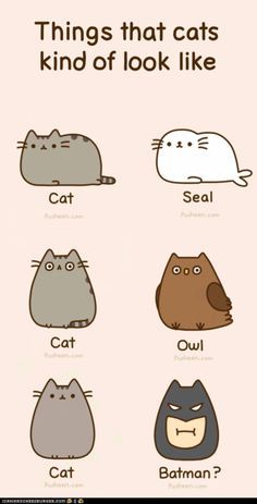 236x463 108 Best Cute Cartoon Animals Images On Kitty Cats