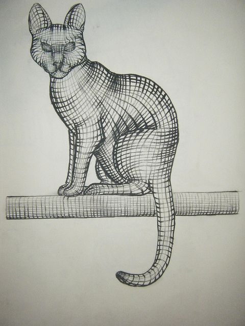 480x640 Cross Contour Cat Contours, Cat And Contour Drawings