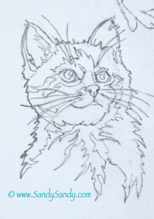 492x700 Drawing Everyday June 2012