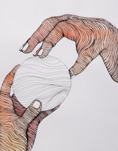 236x300 Contour Line Drawings Of Animals