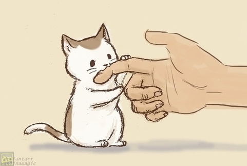 481x323 Drawing Cat And Hand 3 By Vaniinamagic