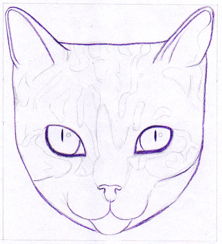 450x495 How To Draw A Cat Learn How To Create A Unique Colorful Cat