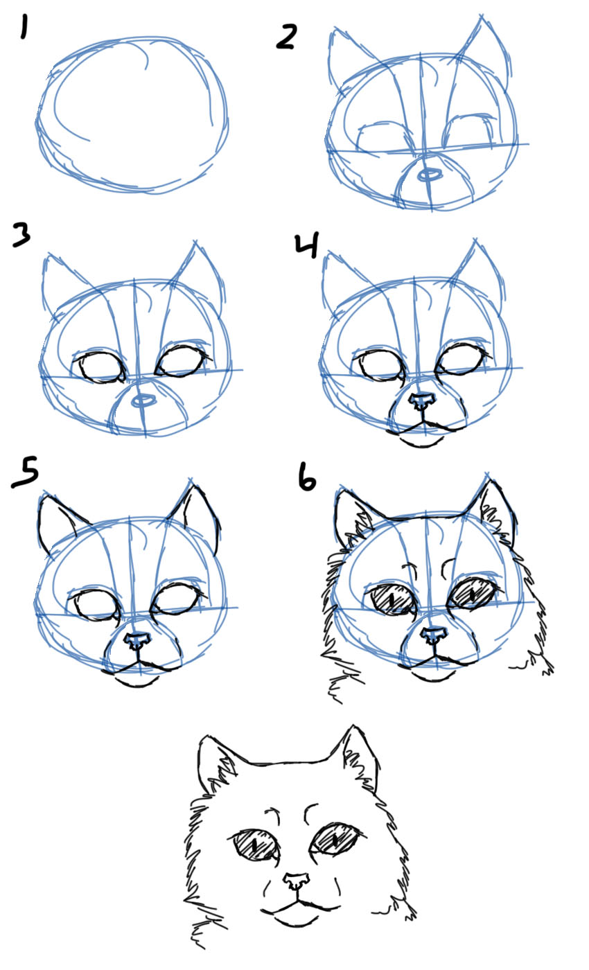 850x1400 How to draw How Draw Cat Facesheads Front View How