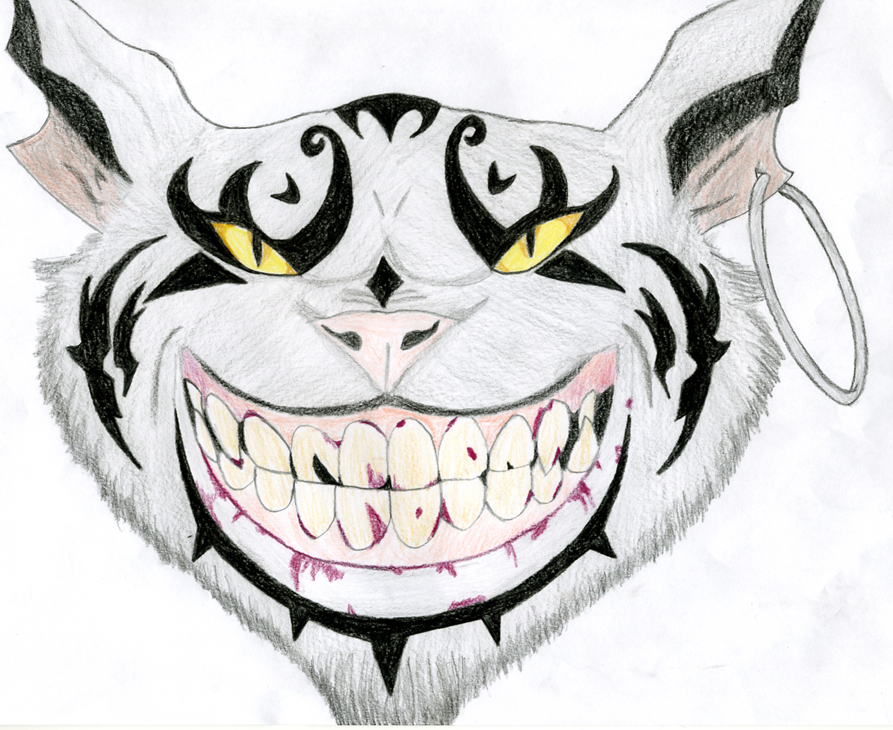 893x730 The Cheshire Cat By Evil Dark Faerie