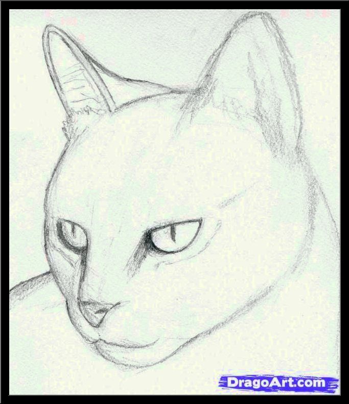 683x790 Drawing Cats Ideas