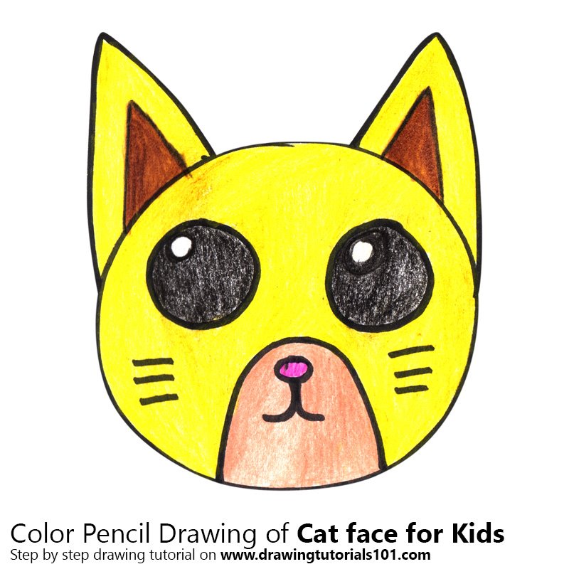 800x800 Learn How To Draw A Cat Face For Kids (Animal Faces For Kids) Step
