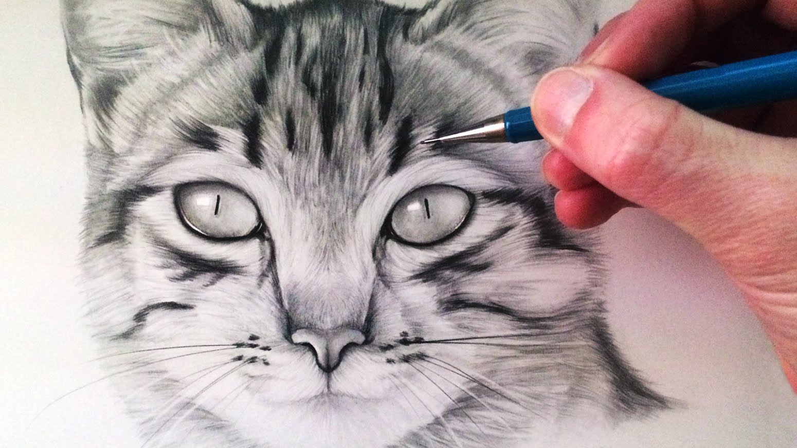 1550x872 How To Draw A Cat