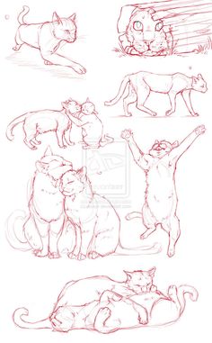 236x381 Cat Gestures