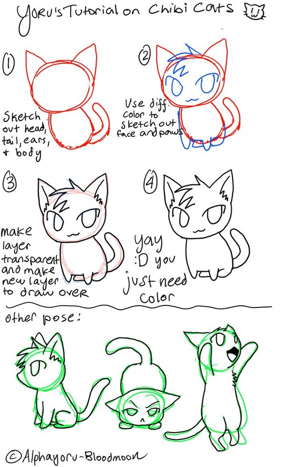 564x939 Chibi Drawing Refrences With Cat Ears And Tails By Kilin7