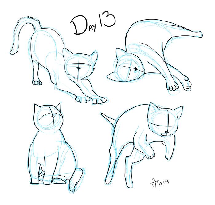 Cat Drawing Poses at GetDrawings | Free download