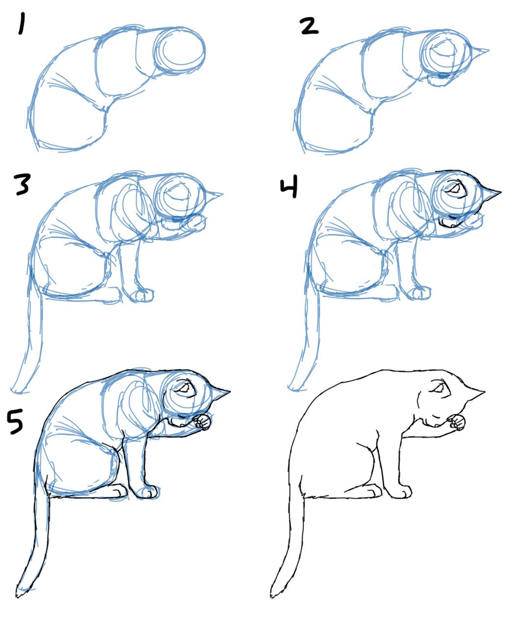 1050x1282 How To Draw Cat Bodies In Poses Savanna Williams Journaling