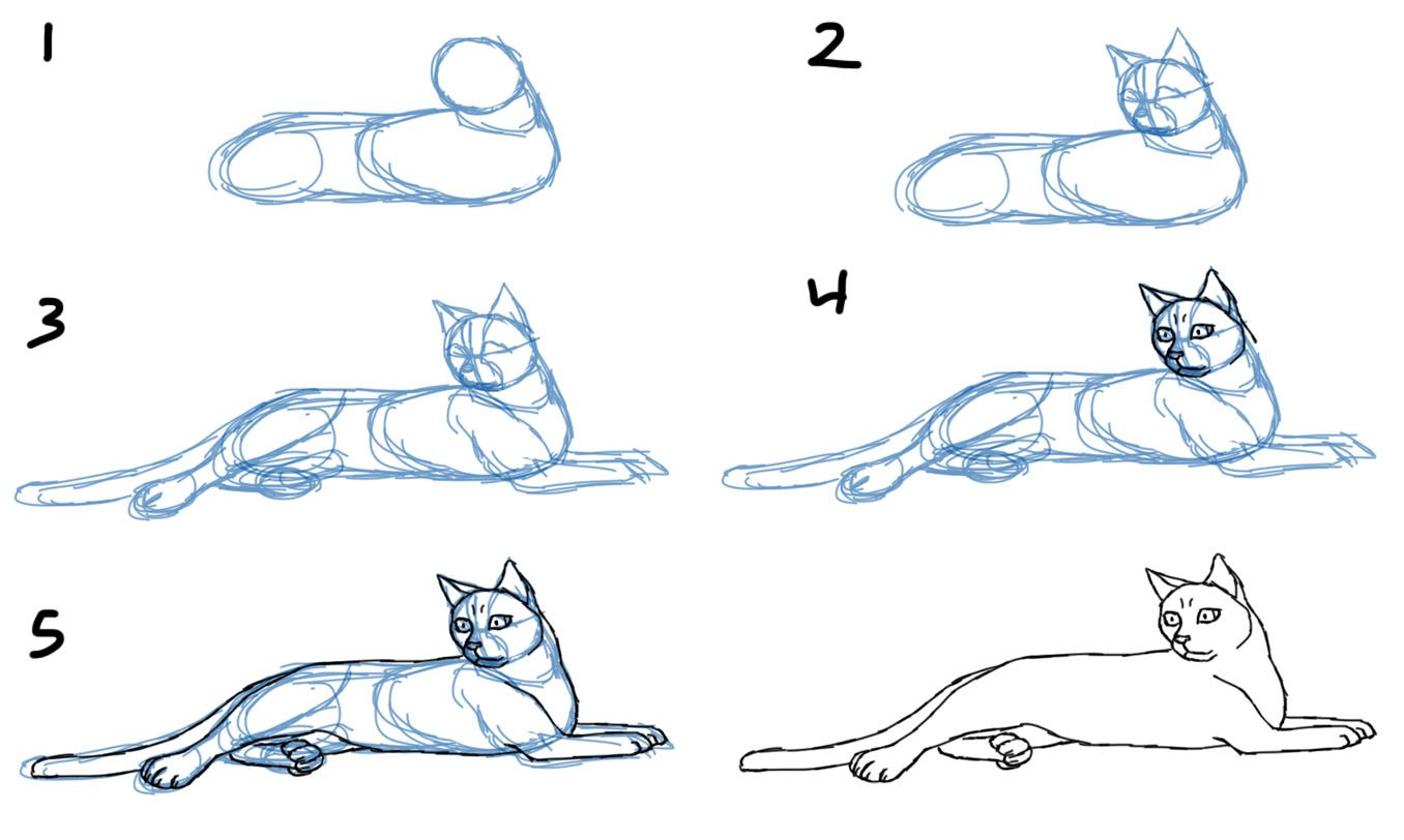1356x812 How To Draw A Cat Lying Down Animals Cat, Cat