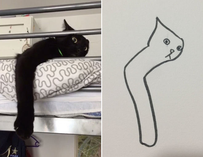 660x510 Super Realistic Drawings Of Cats