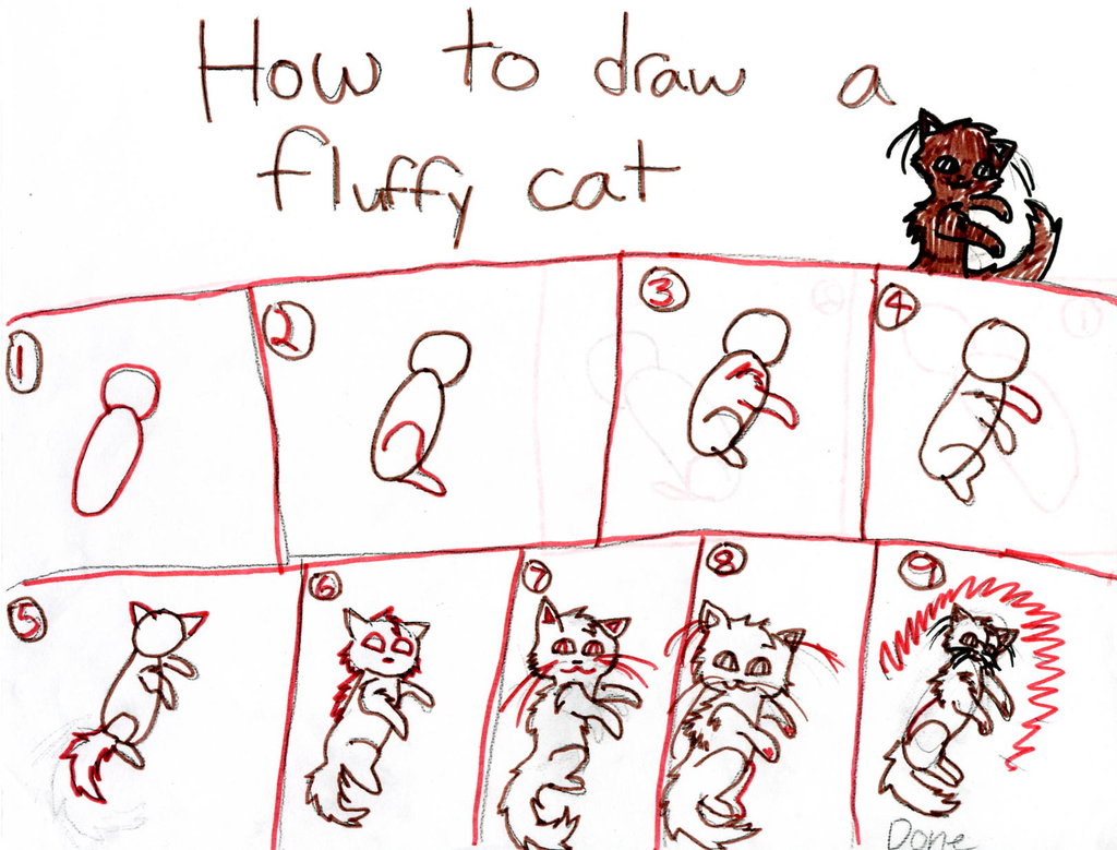 1024x779 How To Draw Fluffy Cat Step By Step By Brambleice