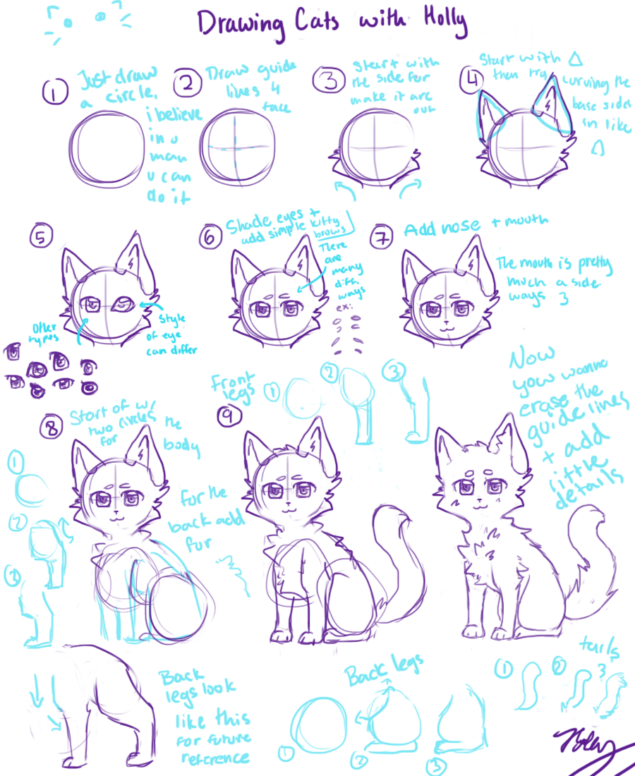 900x1100 Cat Tutorial (Anime Style) By Dachibiii