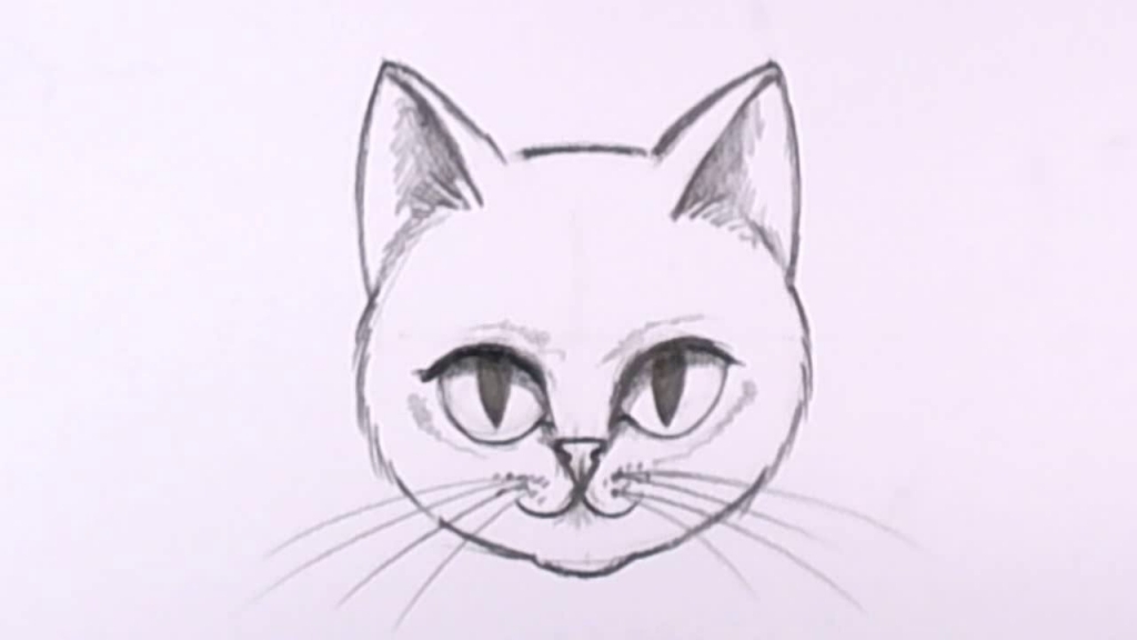 1024x576 Easy Drawings Of Cats How To Draw A Cat Face In Pencil Drawing