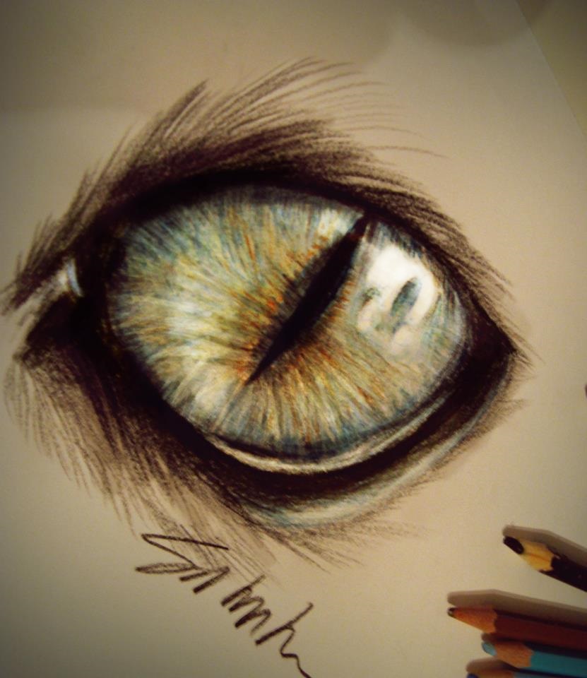 831x960 Cat's Eye By Kinemesi