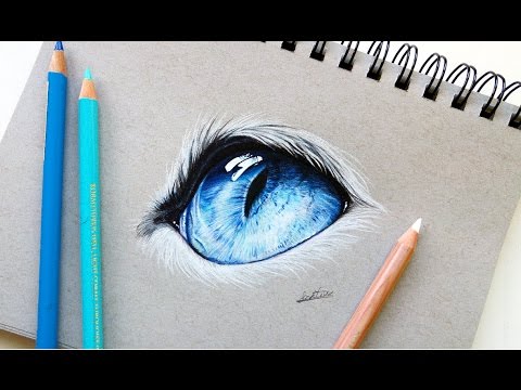 480x360 Realistic Cat Eye Drawing With Colored Pencil Leontine Van Vliet